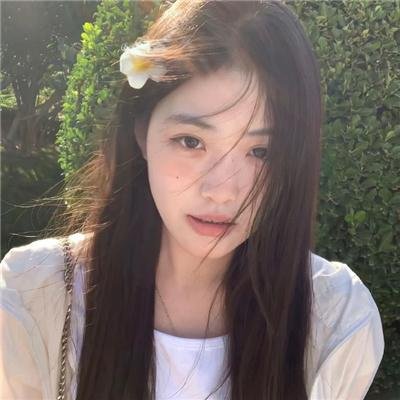 美女来了在线观看封面
