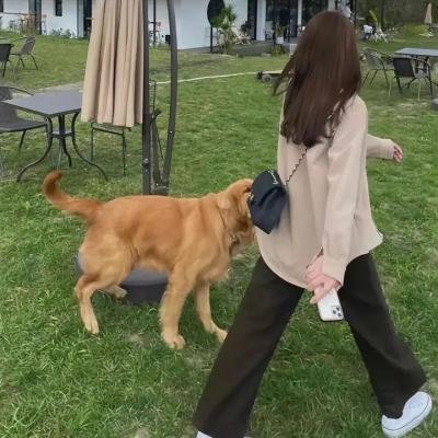 南方与北方在线观看封面